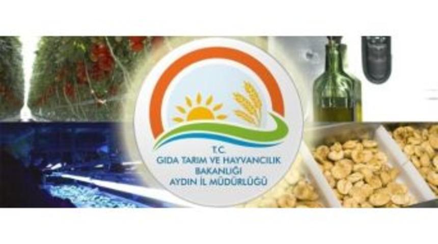 Aydın&rsquo;da 10,8 Milyon Tl Yatırıma 5,3 Milyon Tl Hibe Desteği