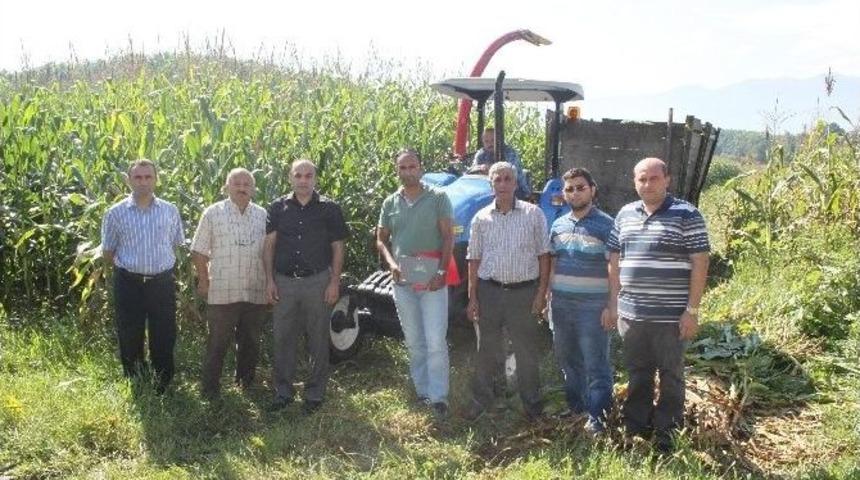 D&uuml;zce&rsquo;de Silajlık Mısır Hasadı Başladı