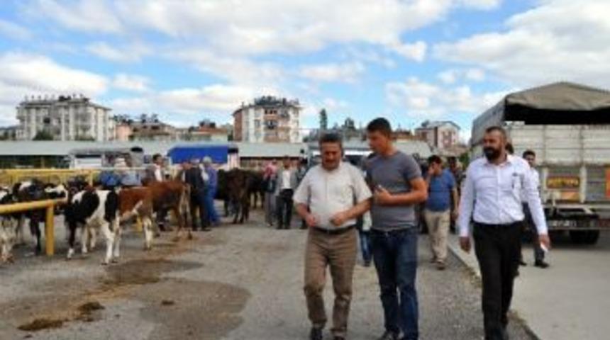 Başkan Tutal, Besicilerin Sorunlarını Dinledi