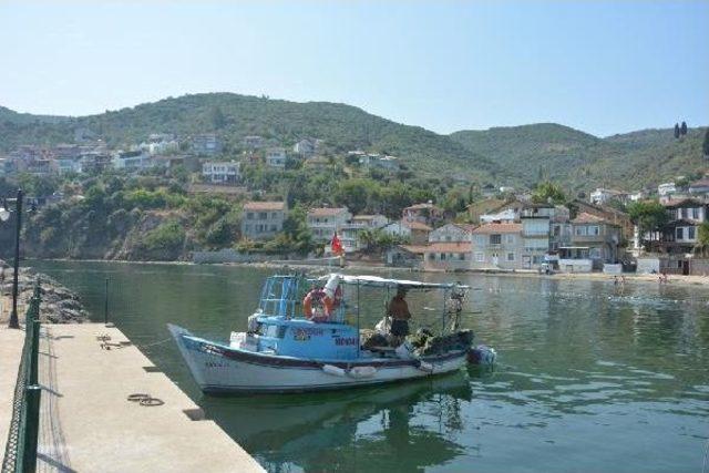 Mudanya'da Denizde 'barış Simgesi' Etkinliği