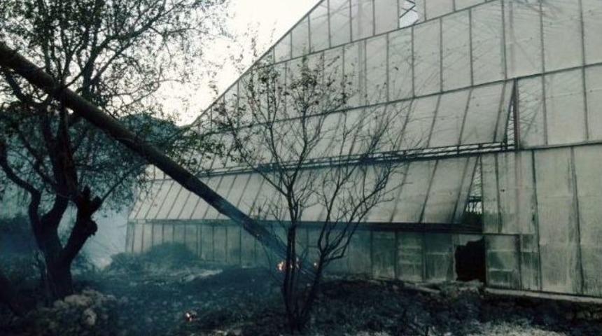 Gazipaşa&rsquo;da Yangın