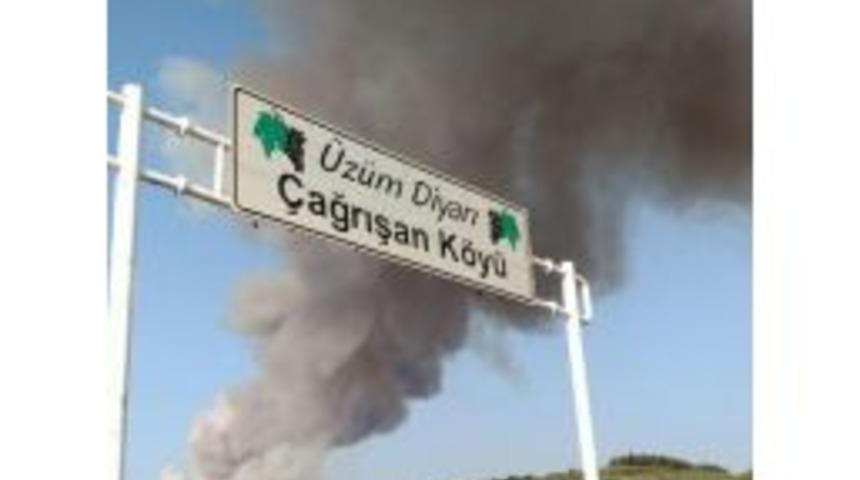 Buras'da Orman Yangını