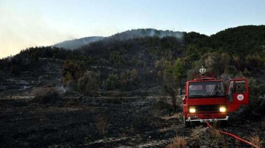 Manavgat'ta Orman Yangını (3)