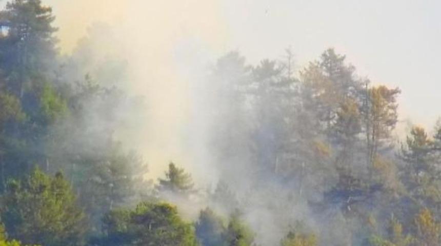 &Ccedil;orum&rsquo;Da 30 D&ouml;n&uuml;ml&uuml;k &Ccedil;am Ormanı Yandı