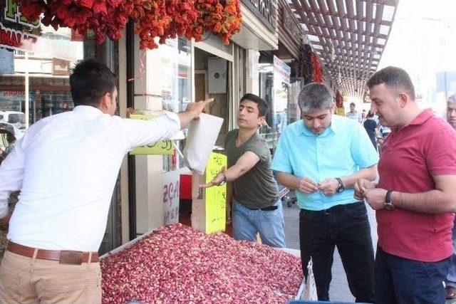 (özel Haber) Taze Antep Fıstığına Rağbet Artıyor