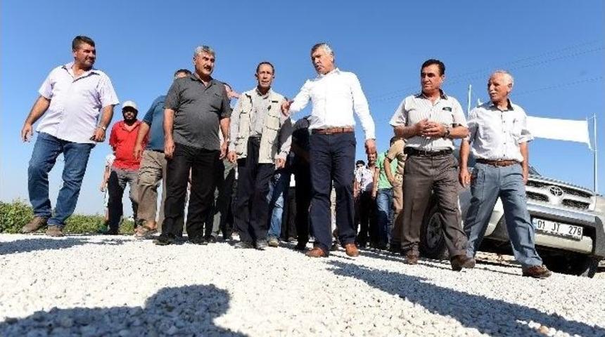 D&ouml;rtağa&ccedil; Mahallesi&rsquo;nde Asfalt Sevinci