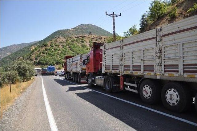 Tunceli’de Yollar Kapatıldı, Operasyon Başlatıldı