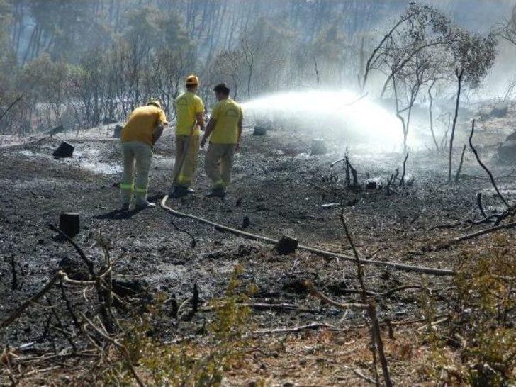 Bursa’Da Korkutan Orman Yangını 50 Hektar Alana Zarar Verdi - Ek Fotoğraf
