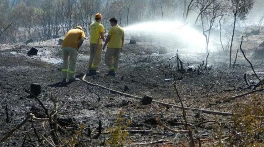 Bursa'da Ormanda Yanan Ağa&ccedil;ları 8 Ayrı Ekip Işaretliyor