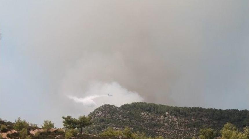 Anamur&rsquo;da Orman Yangını