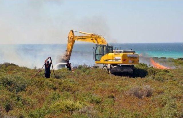 Didim'de Alevler 15 Hektarlık Makilik Alanı Küle Çevirdi