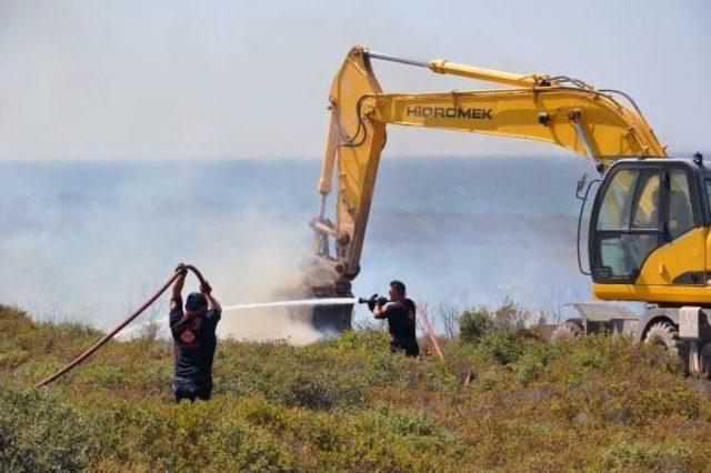 Didim'de Alevler 15 Hektarlık Makilik Alanı Küle Çevirdi