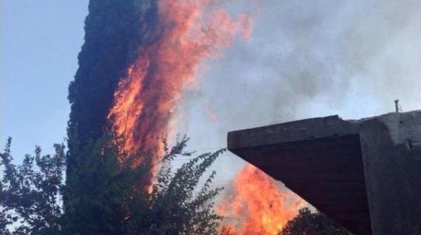 Antalya Kırcami'de Makilik Alanda Yangın (1)