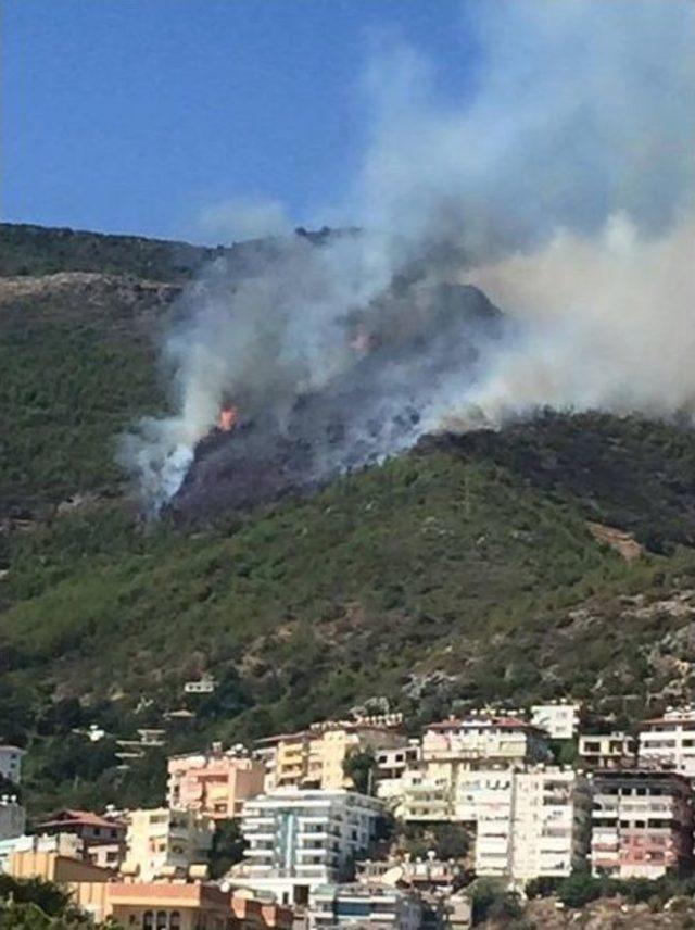Alanya’da Bir Günde 5 Ayrı Noktada Yangın