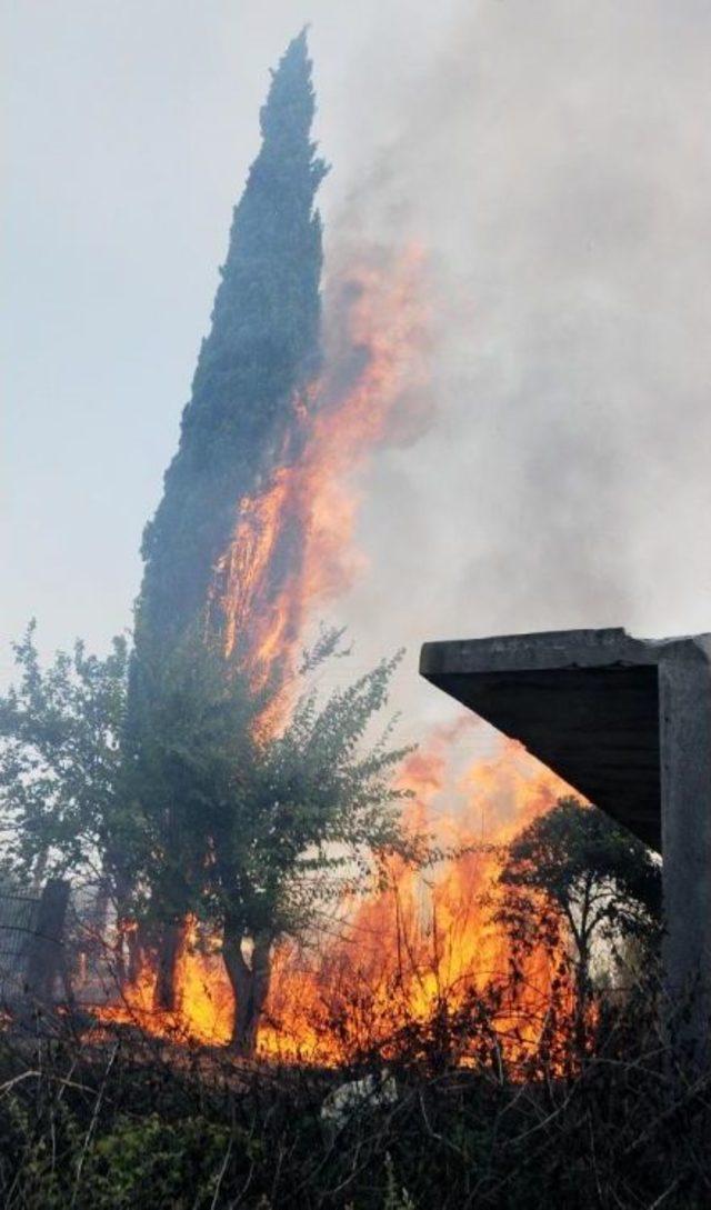Antalya'da 3 Ayrı Noktada Çıkan Yangın Korkuttu (2) - Yeniden