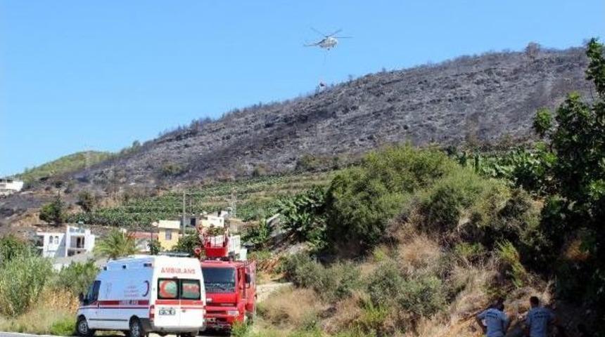 Alanya'da Orman Yangını (2) - Yeniden