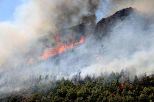 Alanya'da Orman Yangını (2) - Yeniden