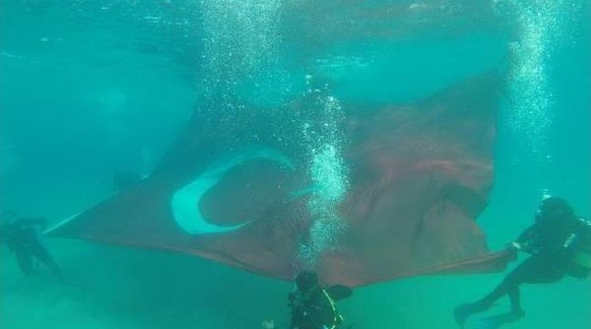 Su Altında Dev T&uuml;rk Bayrağı A&ccedil;tılar