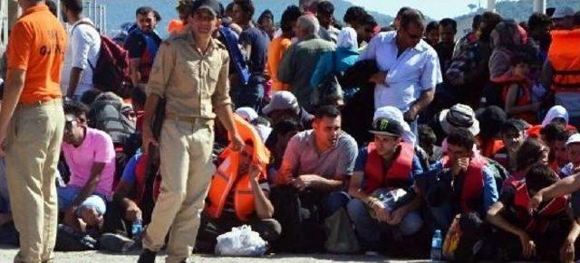 Ayvalık'ta 412 Suriyeli Kaçak Yakalandı