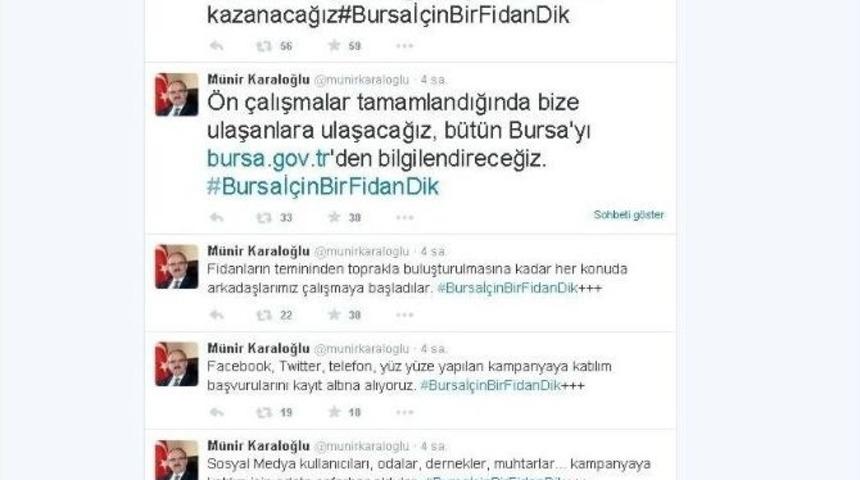 Yangından Zarar G&ouml;ren 50 Hektarlık Alan Yeniden Ağa&ccedil;landırılacak