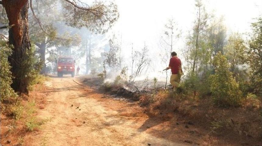Mut&rsquo;daki Orman Yangını Kontrol Altına Alındı