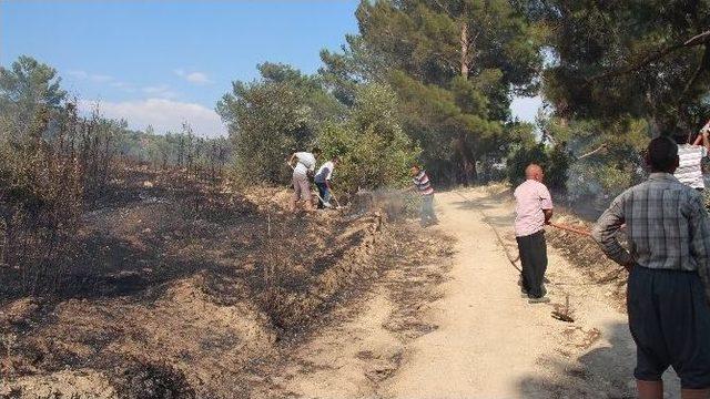 Mut’daki Orman Yangını Kontrol Altına Alındı