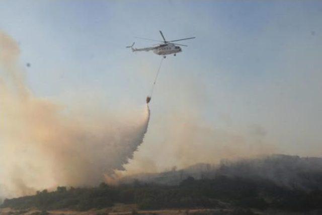 Alevler, Ayvalık'ta 12 Hektar Makiyi Küle Çevirdi