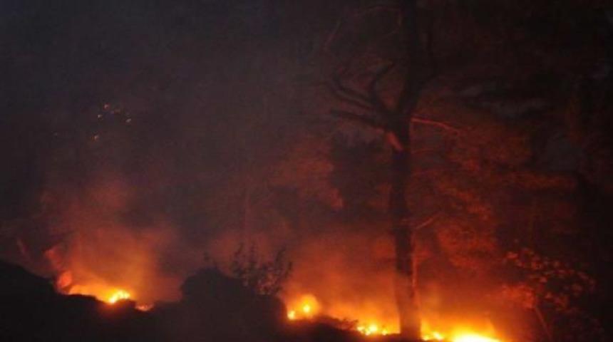 Anamur'da Orman Yangını (3)