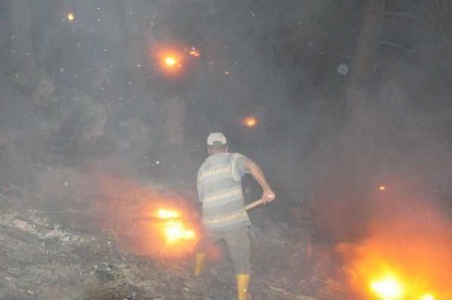 Anamur'da Orman Yangını (3)