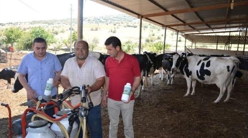 S&uuml;t Sağma Makineleri Artık Daha Hijyenik