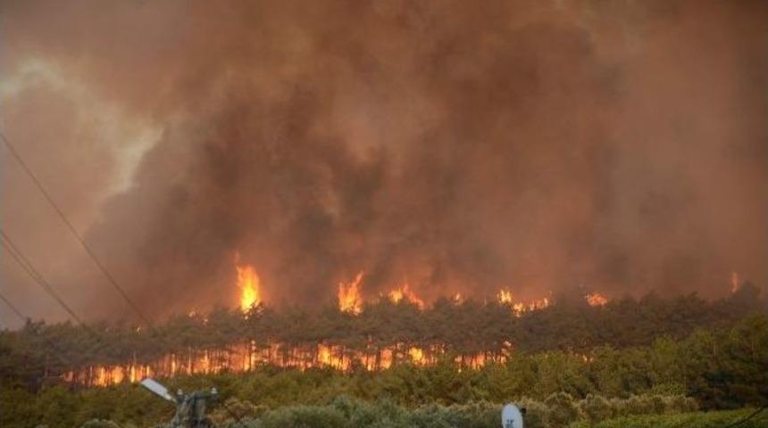 Uludağ Üniversitesi’nden Yanan Alana 60 Bin Fidan Sözü