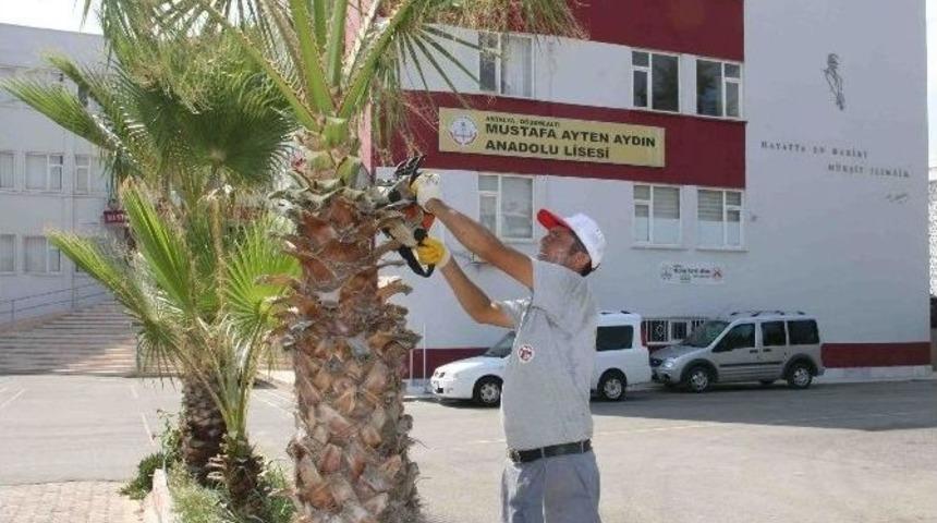 D&ouml;şemealtı Belediyesi, Okullarda Bah&ccedil;e D&uuml;zenlemesi Yaptı