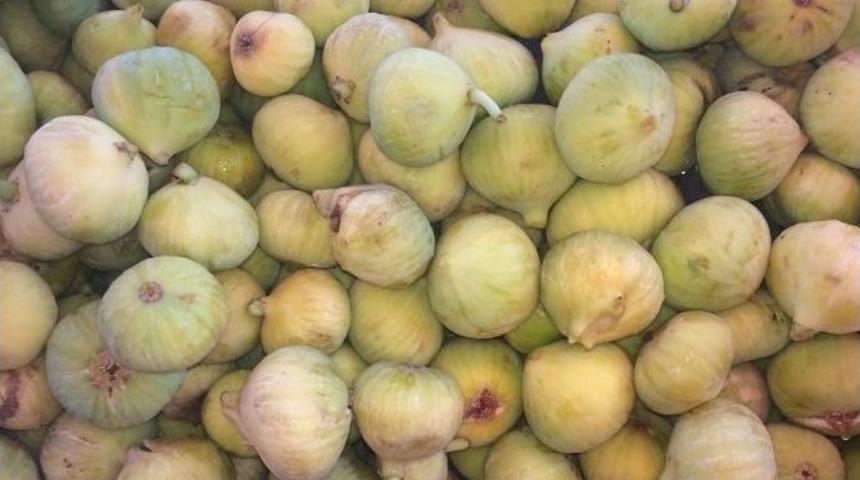 Yeşil Gurs İncirleri Tezgahtaki Yerini Aldı