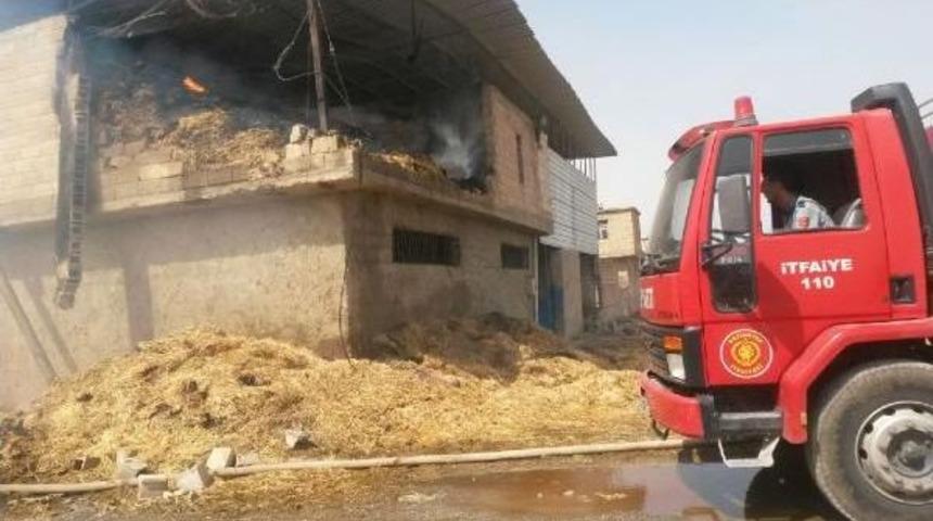 Nizip'te Ahır Yangınında 15 Hayvan Telef Oldu