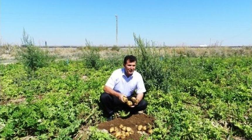 Niğde Ziraat Odası Başkanı Veli Kenar: