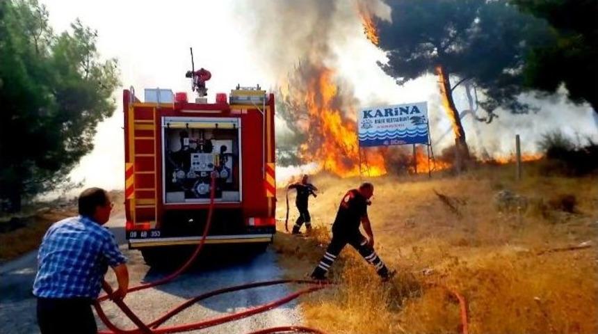 S&ouml;ke&rsquo;de Orman Yangını