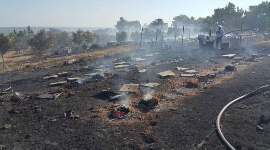 Doğanbey Yangınında Y&uuml;zerce Kovan Arı Ve Bal Teef Oldu