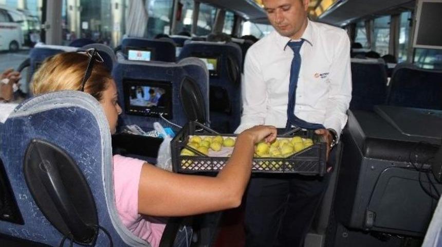 Metro Turizm İncir Tadında Yolculuk Başlattı