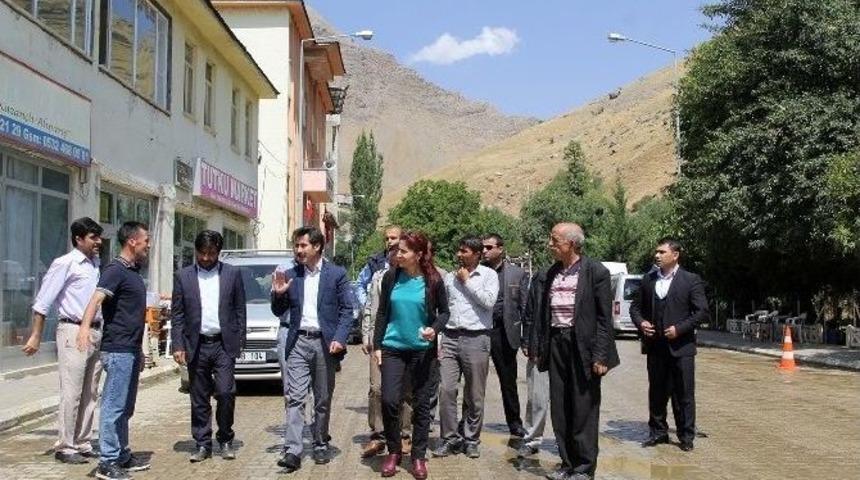 Eş Başkanlar Bah&ccedil;esaray&rsquo;da İncelemelerde Bulundu