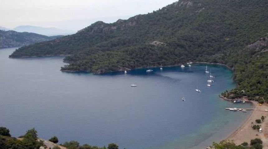 Dalaman&rsquo;da Koyların İhalesi İptal