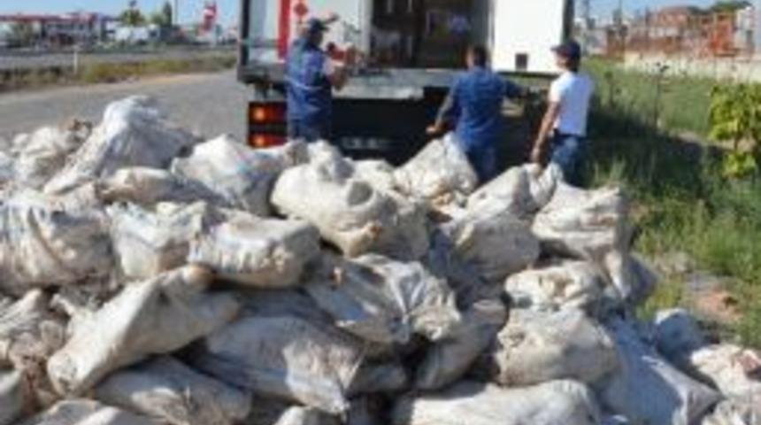 Hayvan Sakatatları Arasında Ka&ccedil;ak Sigara &Ccedil;ıktı