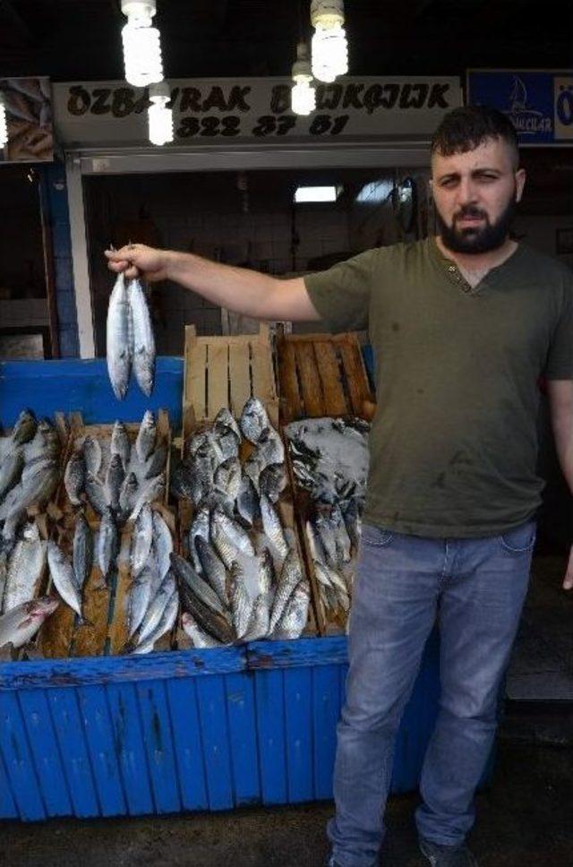 Trabzon’da Balıkçılar Umduğunu Bulamadı