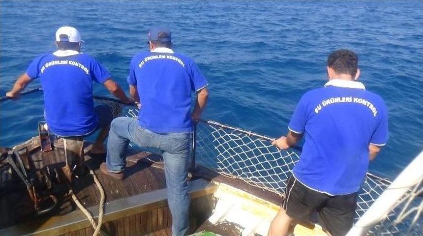 Hatay&rsquo;da Ka&ccedil;ak Avcılara G&ouml;z A&ccedil;tırmıyorlar