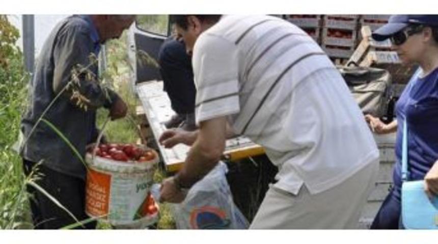 Gıda Kontrol&ouml;rlerinden Zirai İla&ccedil; Kalıntısı Denetimi