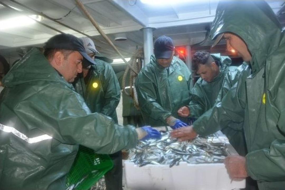 Ordulu Balık&ccedil;ılar &ldquo;vira Bismillah&rdquo; Dedi