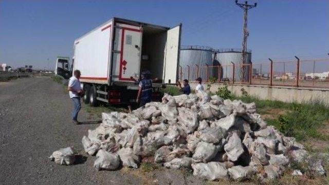 Sakatat Arasında Kaçak Sigara Sevkiyatı Polise Takıldı