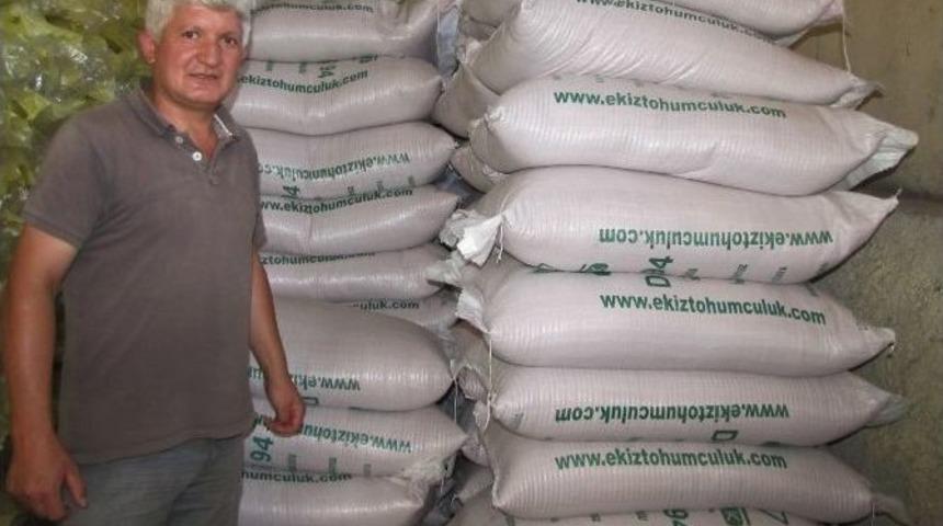 Hisarcık Tarım Kredi Kooperatifi&rsquo;nden &Ccedil;ift&ccedil;ilere Sertifikalı Tohumluk