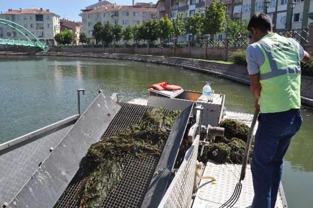 Porsuk&rsquo;ta Yosun Temizliği