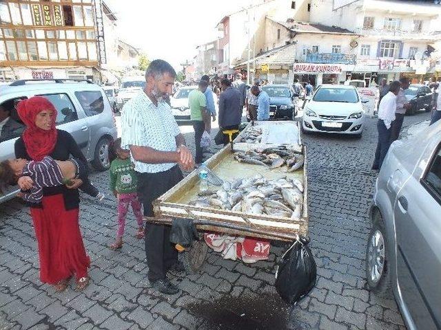 Balıklar Tezgâhlardaki Yerini Aldı