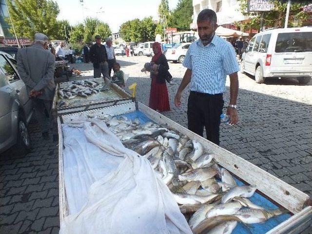 Balıklar Tezgâhlardaki Yerini Aldı